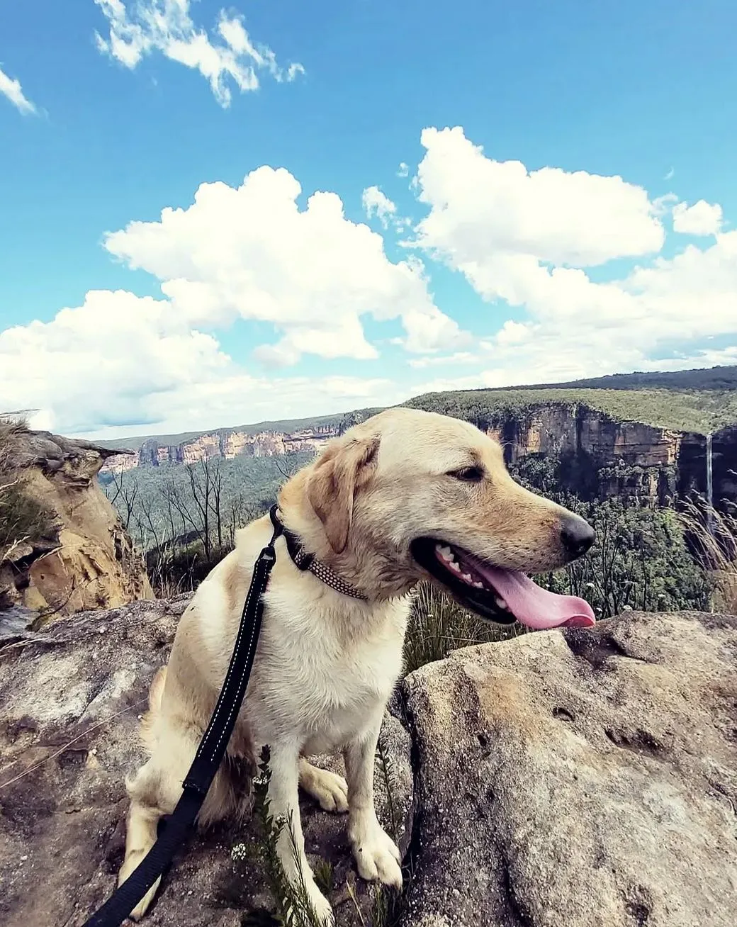Blue Mountains Tours