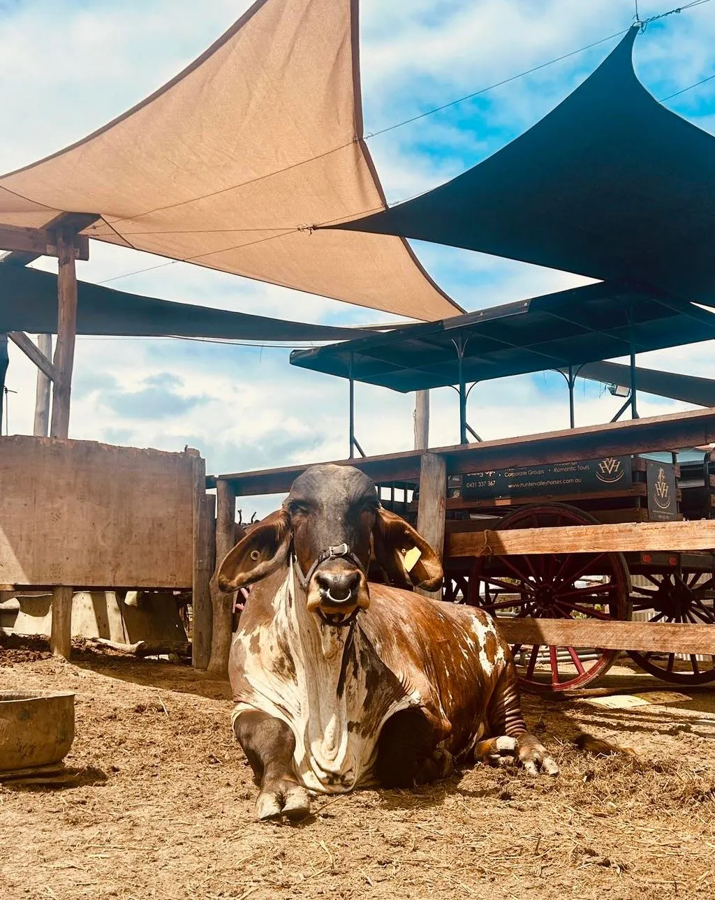 Family Farm Activities That’ll Have Everyone Smiling