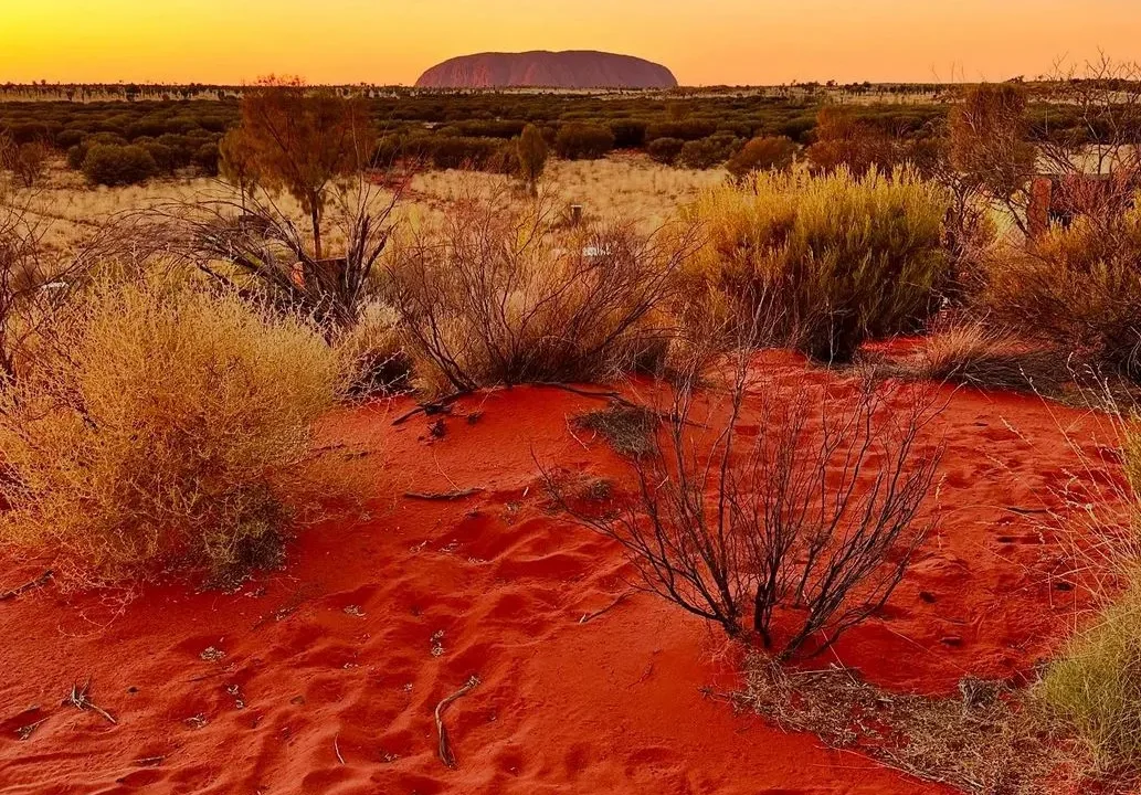 Which Uluru Tours Are Suitable for Individuals with Limited Mobility or Low Fitness?
